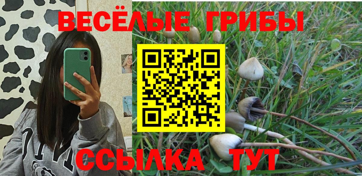 Галлюциногенные грибы Psilocybe  как найти наркотики  Бугульма  Вход с VPN  Псилоцибиновые грибы Cubensis 