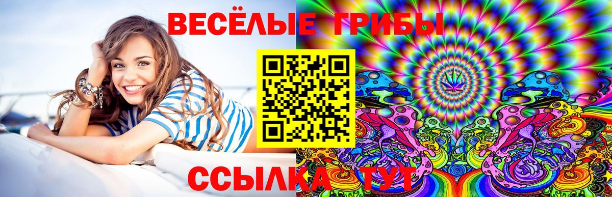 Псилоцибиновые грибы прущие грибы Бугульма